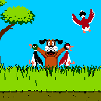 Duck Hunt Reloaded 4-in-1