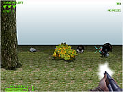 Turkey Shootout 3D