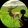 Deer Sniper 2014