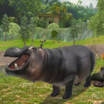 HIPPO Hunting Sniper Shooter